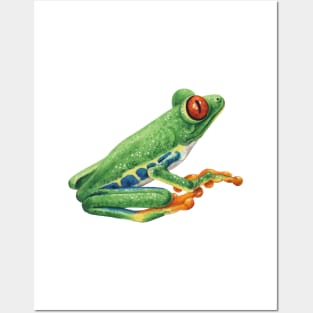 Dart frog Posters and Art